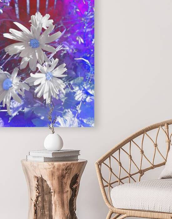 Abstract Bright Daises by Catriona Roberts Nature Photography and Designs