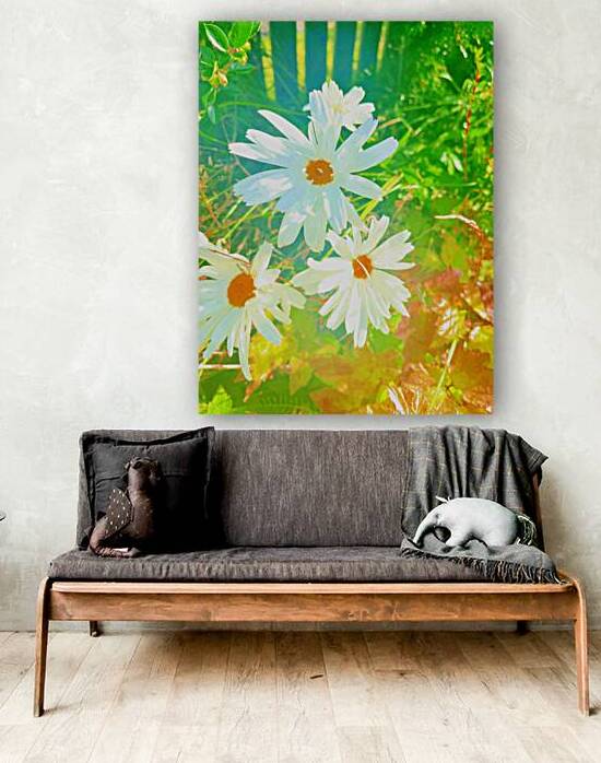 Abstract White and Orange Daises by Catriona Roberts Nature Photography and Designs