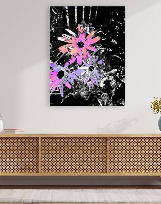 Abstract Pink and Purple Daisy Flowers by Catriona Roberts Nature Photography and Designs