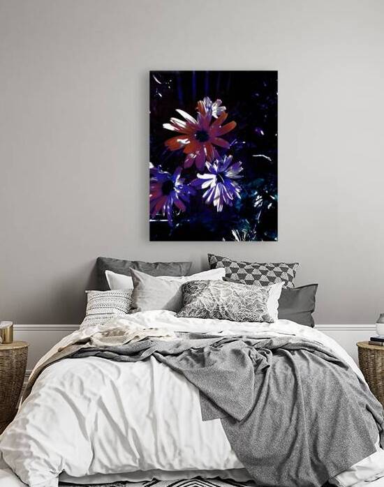 Abstract Luminescent Daises by Catriona Roberts Nature Photography and Designs