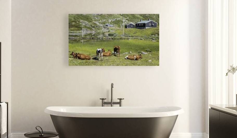 grazing cows in the norway nature by Chris Willemsen