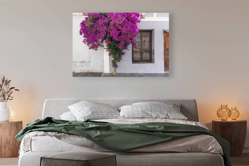 Uruguay colonial streets of Colonia Del Sacramento in historic center of Barrio Historico by Elijah Lovkoff