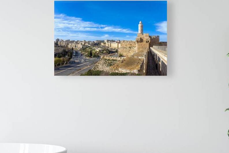Panoramic skyline view of Jerusalem and arab and jewish neighborhood near historic center by Elijah Lovkoff