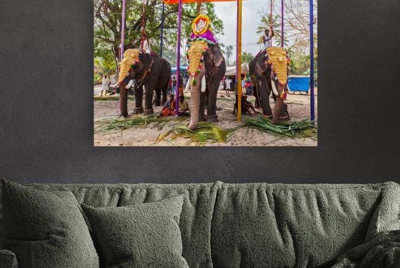Decorated elephants with brahmins priests in Hindu temple at temple festival. by Dmitry Rukhlenko