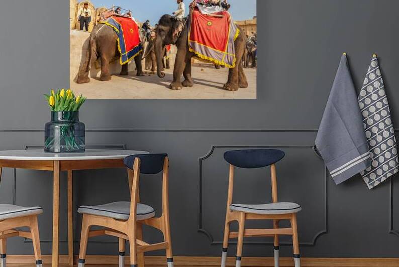 JAIPUR INDIA   NOVEMBER 18: Tourists riding elephants in Amber by Dmitry Rukhlenko