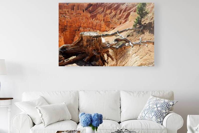 Bryce National Park in Utah USA  by Elijah Lovkoff