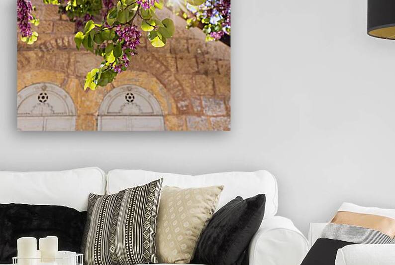 Israel Jerusalem old narrow streets of Nahlaot historic neighborhood with many small synagogues by Elijah Lovkoff