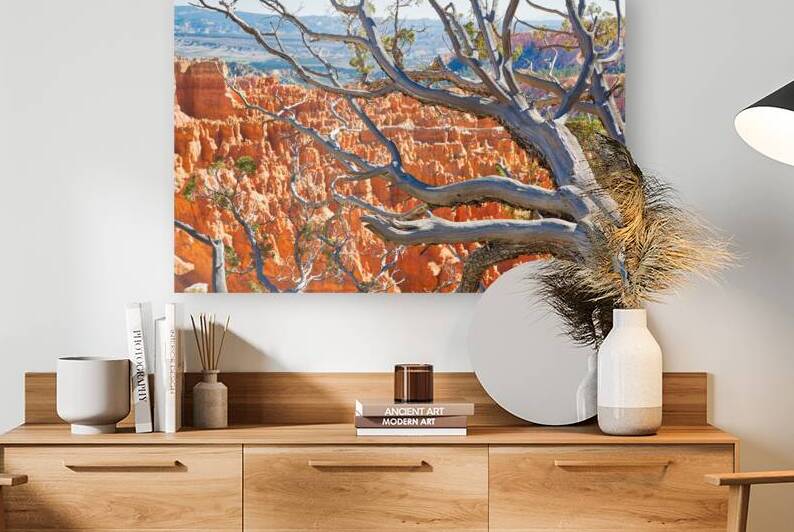 Bryce National Park in Utah USA by Elijah Lovkoff