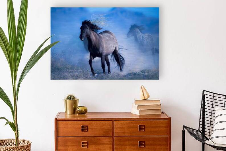 BZ9 6359 Enhanced NR by Susan Lynn Cooke