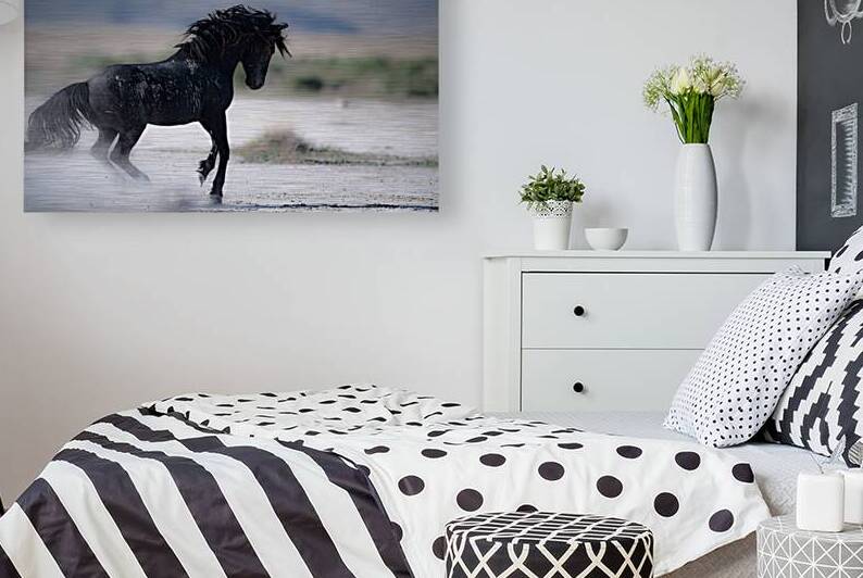 BZ9 7361 Enhanced NR by Susan Lynn Cooke