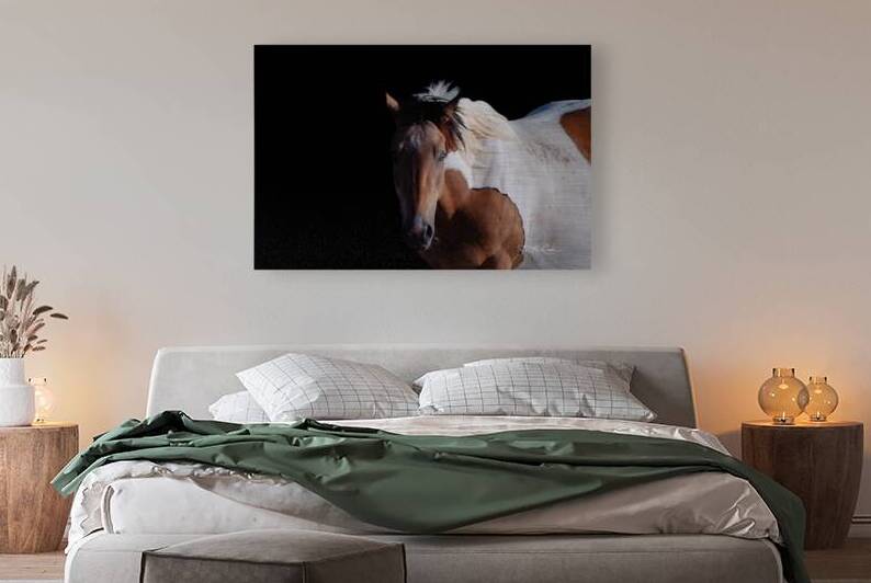 BZ9 6672 Enhanced NR by Susan Lynn Cooke