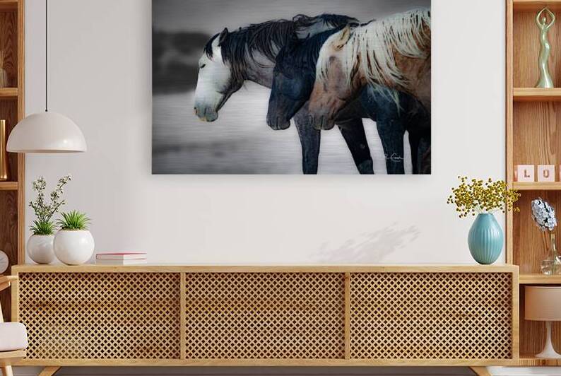 BZ9 8125 Enhanced NR by Susan Lynn Cooke