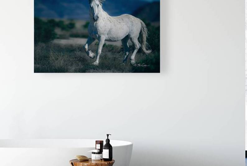 BZ9 8427 Enhanced NR by Susan Lynn Cooke