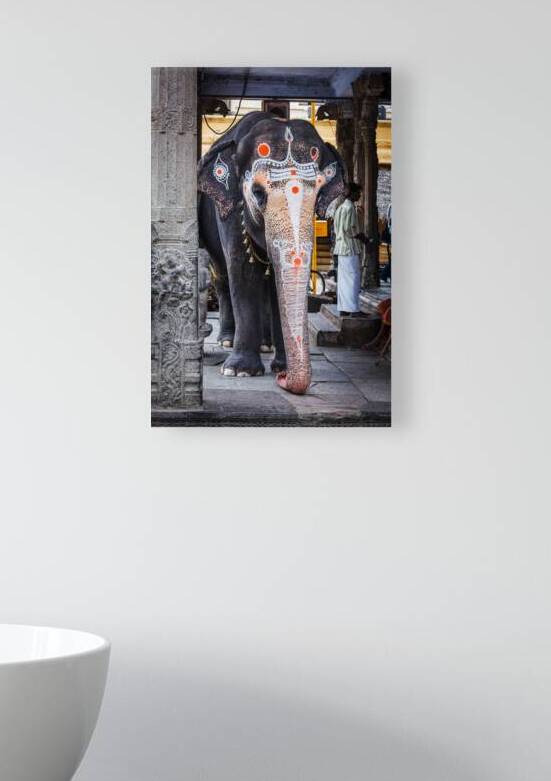 Temple elephant in Kailasanthar temple by Dmitry Rukhlenko