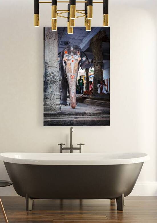 Temple elephant in Kailasanthar temple by Dmitry Rukhlenko