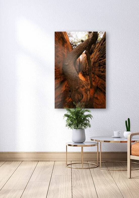 Red Rock Canyon Tree by Adel B Korkor