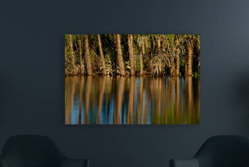 Reflections In The Amazon by Adel B Korkor