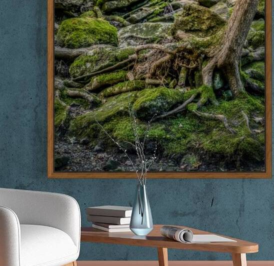 Mossy Brook Symphony   by Dream World Images