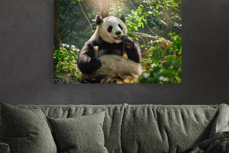 Giant panda bear in China by Dmitry Rukhlenko