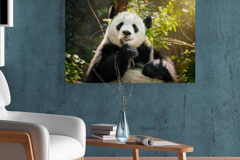 Giant panda bear in China by Dmitry Rukhlenko