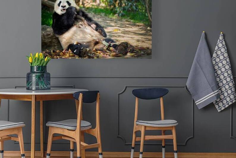 Giant panda bear in China by Dmitry Rukhlenko