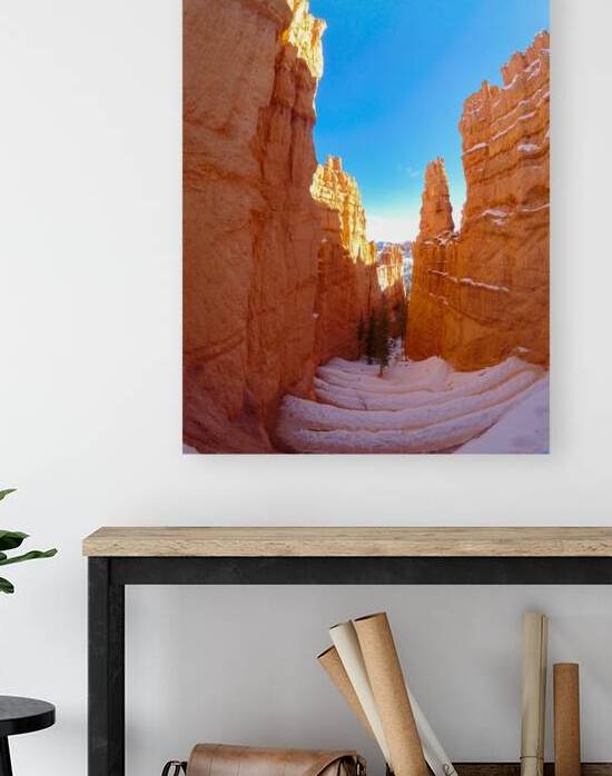 Wall Street in Bryce Canyon Utah USA by Maksim Zabarovskii