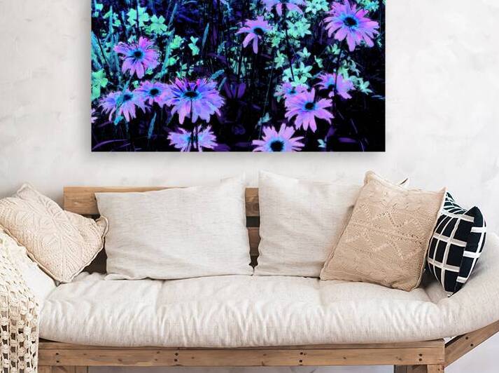 Impressionistic Vibrant Multitude of Daises by Catriona Roberts Nature Photography and Designs