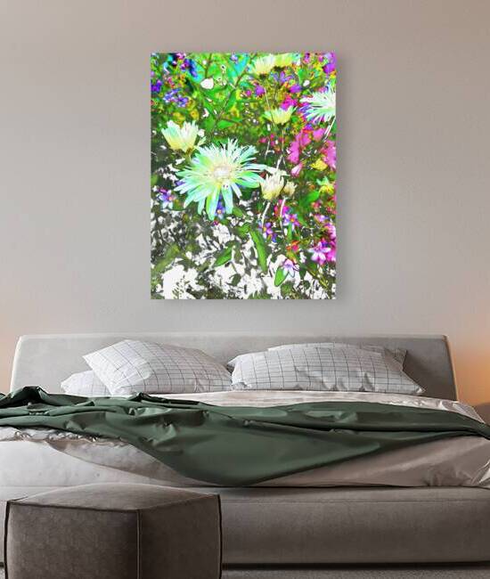 Vibrant Cottage Garden Daises by Catriona Roberts Nature Photography and Designs