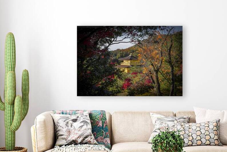 Kinkaku ji temple  in kyoto japan by Gualtiero Boffi