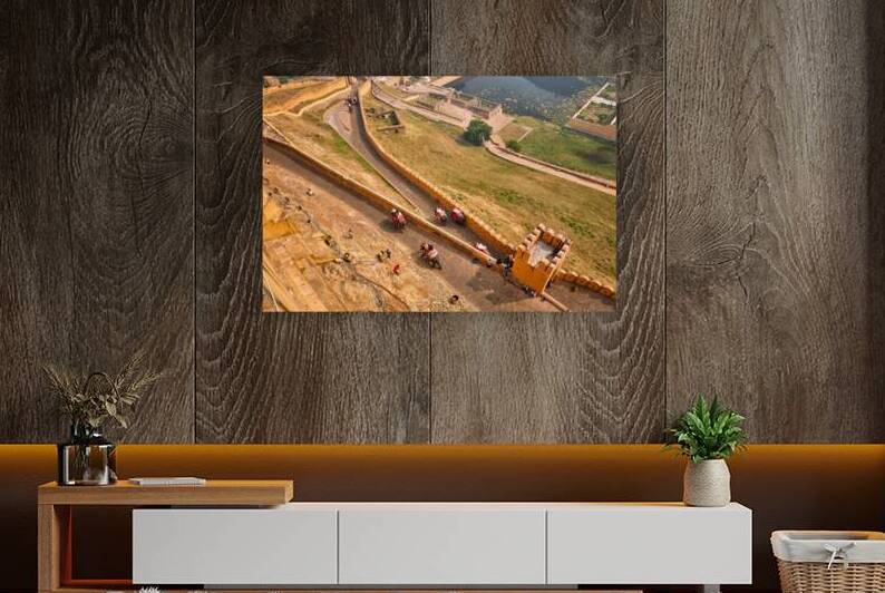 Tourists riding elephants on ascend to Amer fort by Dmitry Rukhlenko