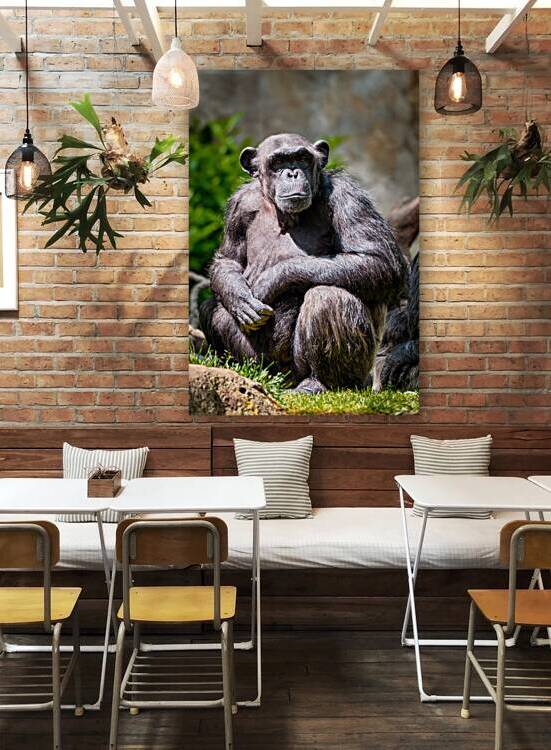 Portrait of a chimpanzee by Dmitry Rukhlenko