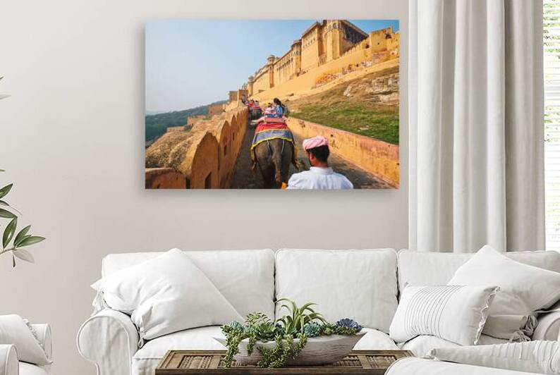 Tourists riding elephants on ascend to Amer fort by Dmitry Rukhlenko