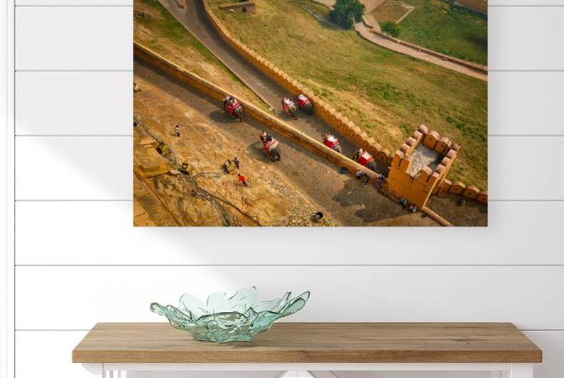 Tourists riding elephants on ascend to Amer fort by Dmitry Rukhlenko