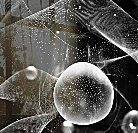 Quantum Landscape by Diana de Avila