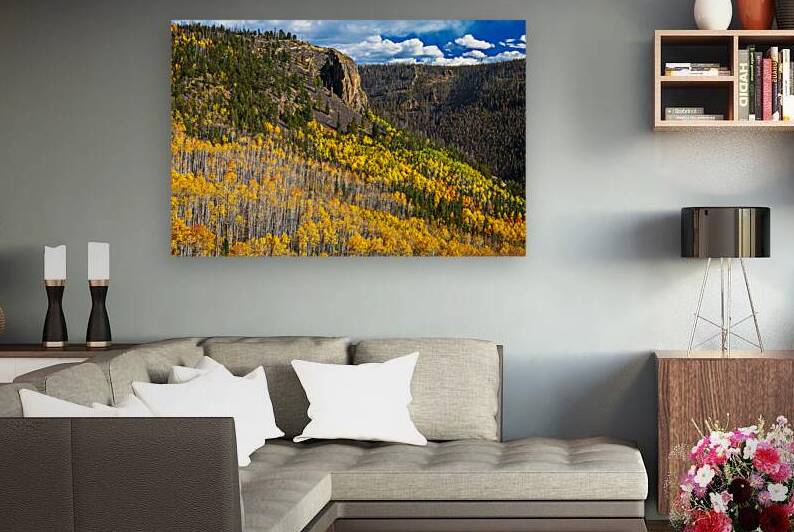 Autumn Drapery by Andy Crawford