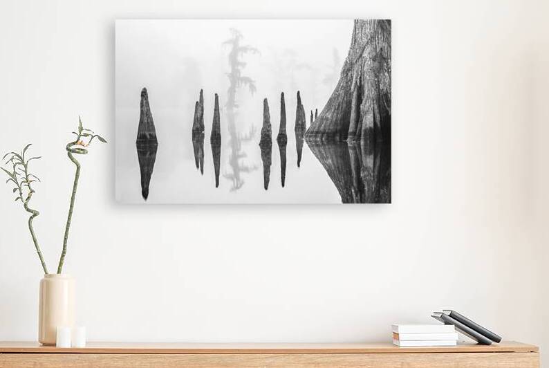 Reflections of Verret by Andy Crawford