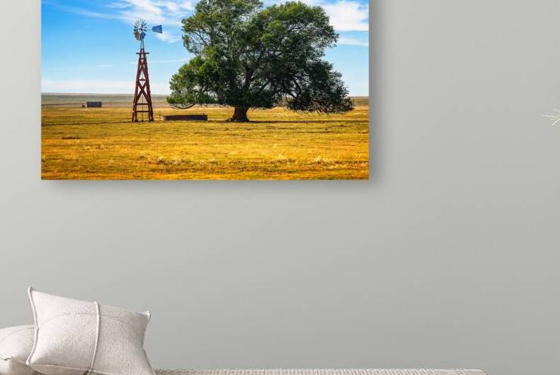 Volner Cattle Company Day Ranch by Andy Crawford