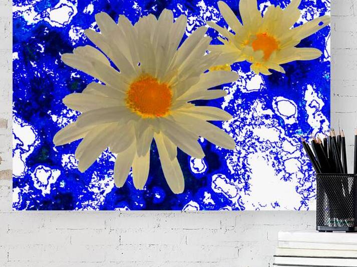 Abstract Daises Abstract Background by Catriona Roberts Nature Photography and Designs