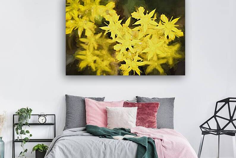 Yellow Stonecrop Spikey Flowers X100 by Rich Franco