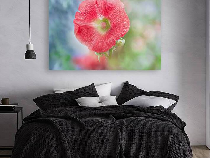 Red Hollyhock by Joan Han