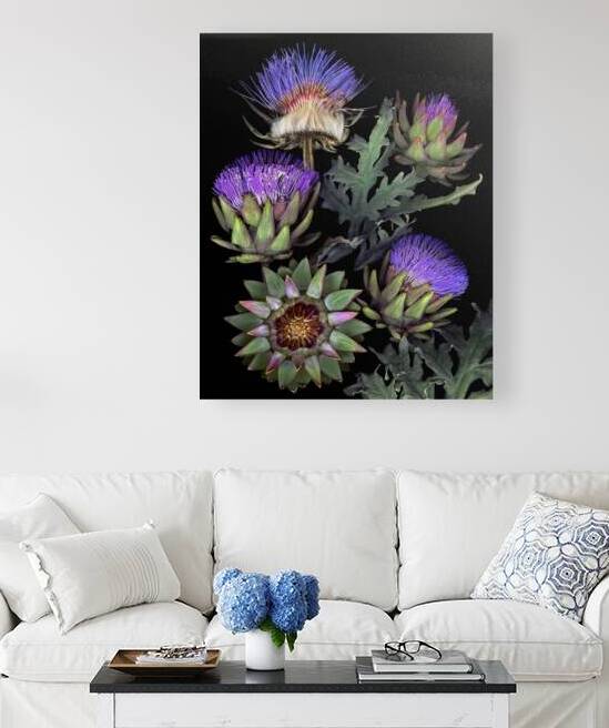 French Artichokes   by Jane Baron