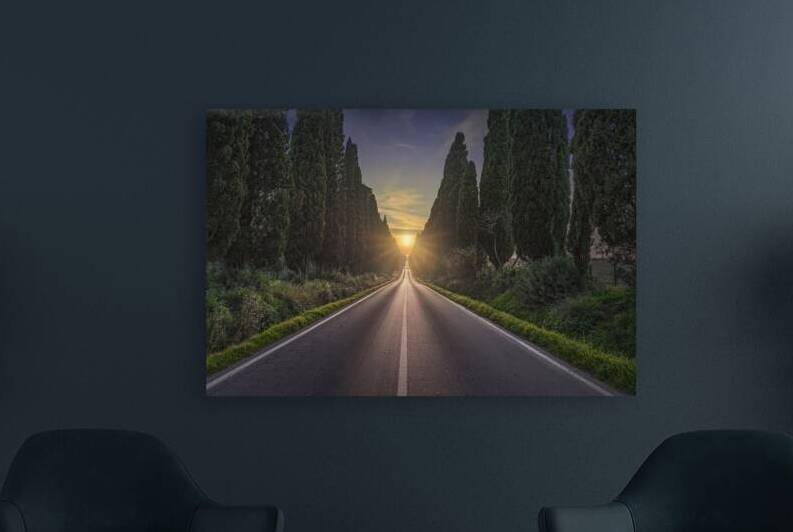 Viale di Bolgheri and the sun in the middle by Stefano Orazzini