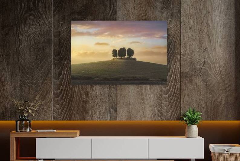 Cypress grove in Tuscany by Stefano Orazzini