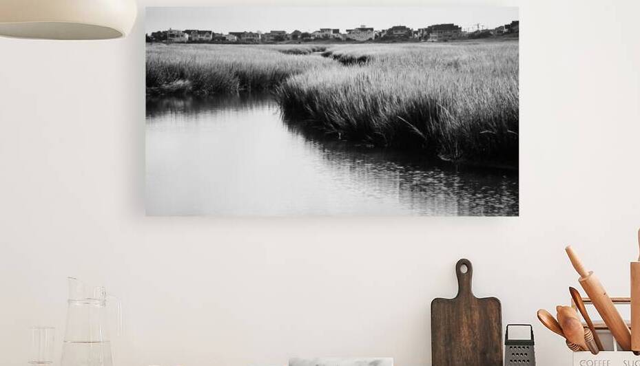 Edge of the Wetlands by Jason Fink