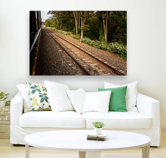 Riding Down the New Hope Rails by Jason Fink