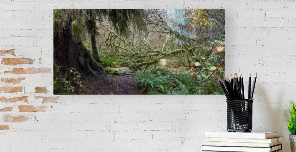 gcwDAV 5271 by David Northall