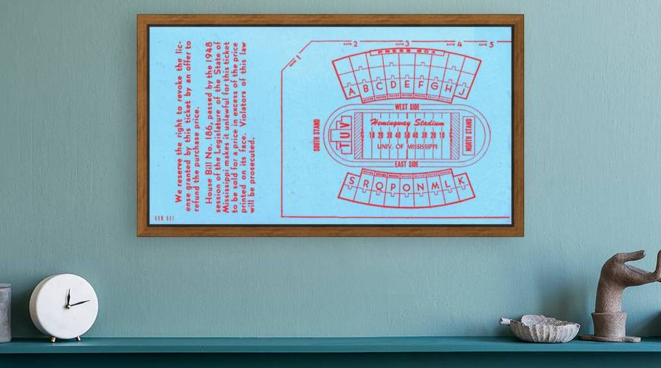 1973 Hemingway Stadium Map Art by Row One Brand