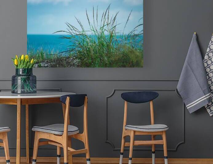 Dewey Beach Grass by Jason Fink