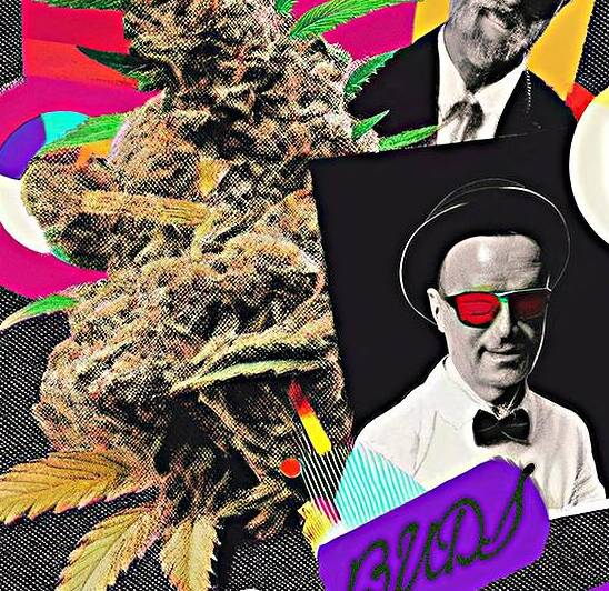 Pop Art Hemp Buds by Art by Josh