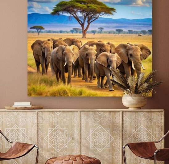 elephant herd  a group of elephants walking throu by Alaa khaled